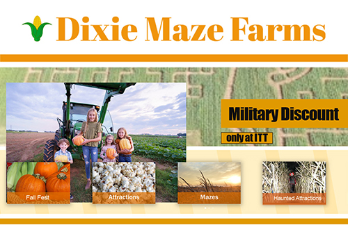 Dixie Maze Farms
